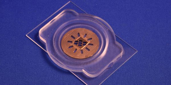 Nanocuet Technology PDMS Disposable Liquid Cell and Tissue Foil for Biological Tissue Samples