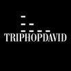 Trip Hop David