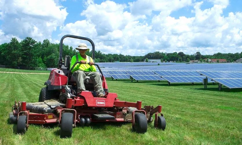 Professional Grade Commercial Landscape Services