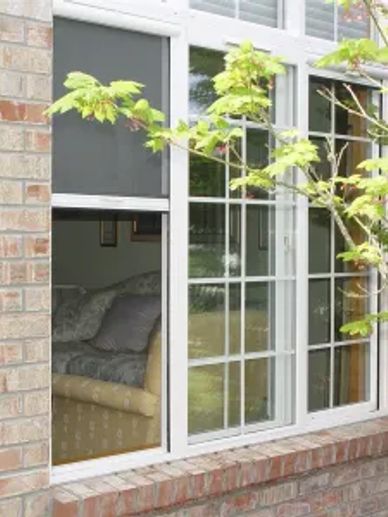 Window with screen and brick wall with a tree branch in front.
