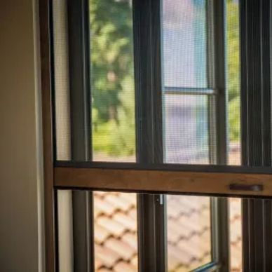Open window with a screen and a view of tiled roof and greenery.