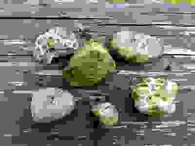 image69