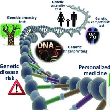 At Lab Mobility Partners, we offer reliable and confidential DNA testing for both personal and legal