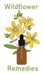 Wildflower Remedies