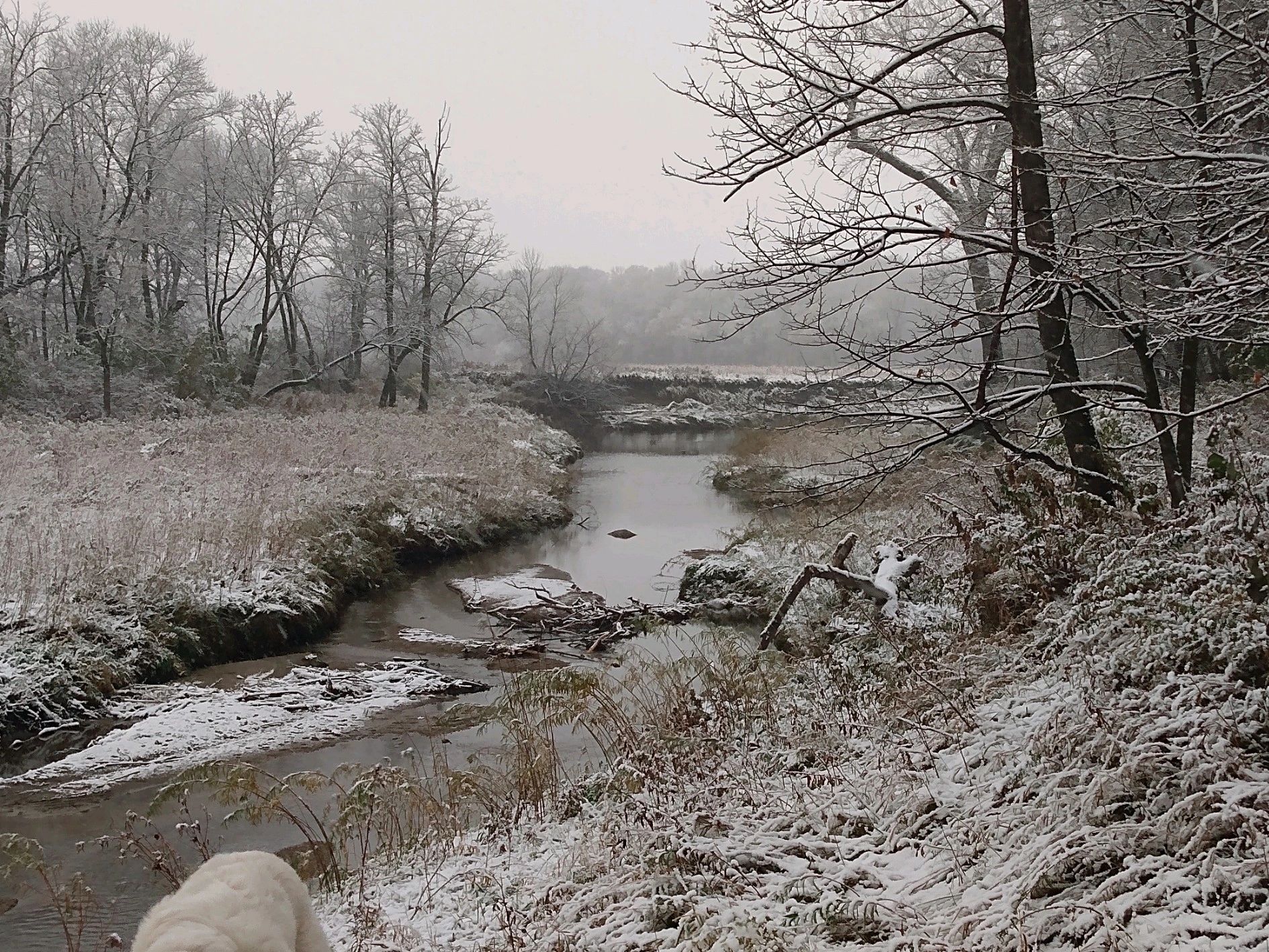 Northern MN Extreme Sports, LLC Paintball, Paintball Course