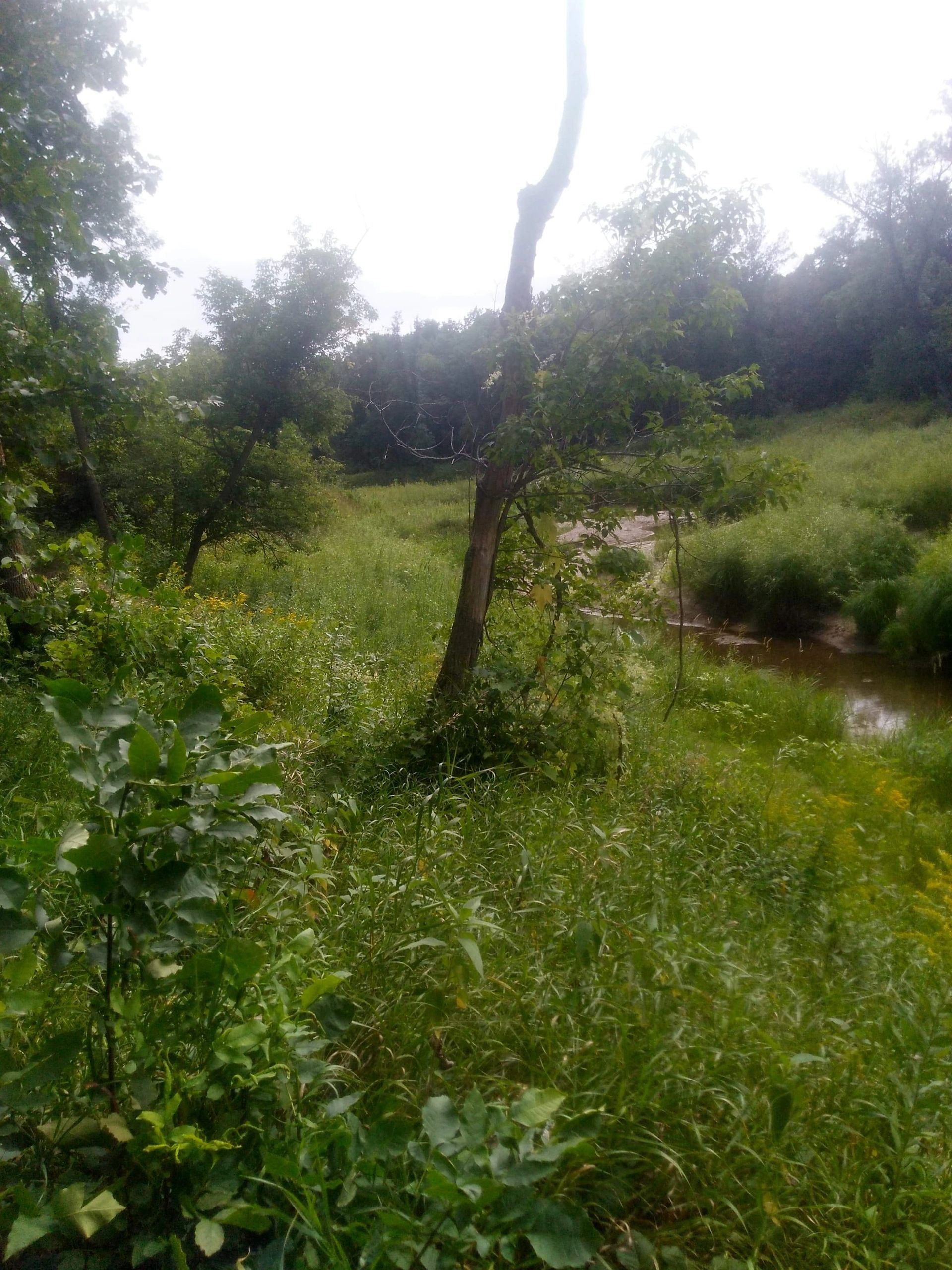 Northern MN Extreme Sports, LLC Paintball, Paintball Course