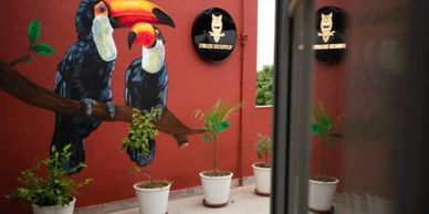 Colorful toucan mural on a red wall with potted plants below and a reflection on glass.