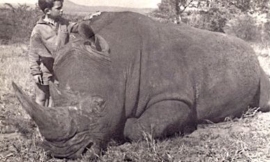 Jonathan Keep standing next to a rhinoceros in South Africa
