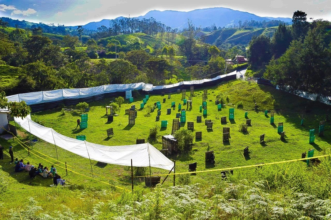 Estas en Medellín?