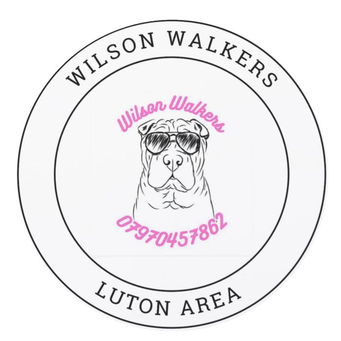 Wilson walkers 
Local, Reliable Dog walking service