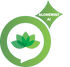 Alchemist Academy