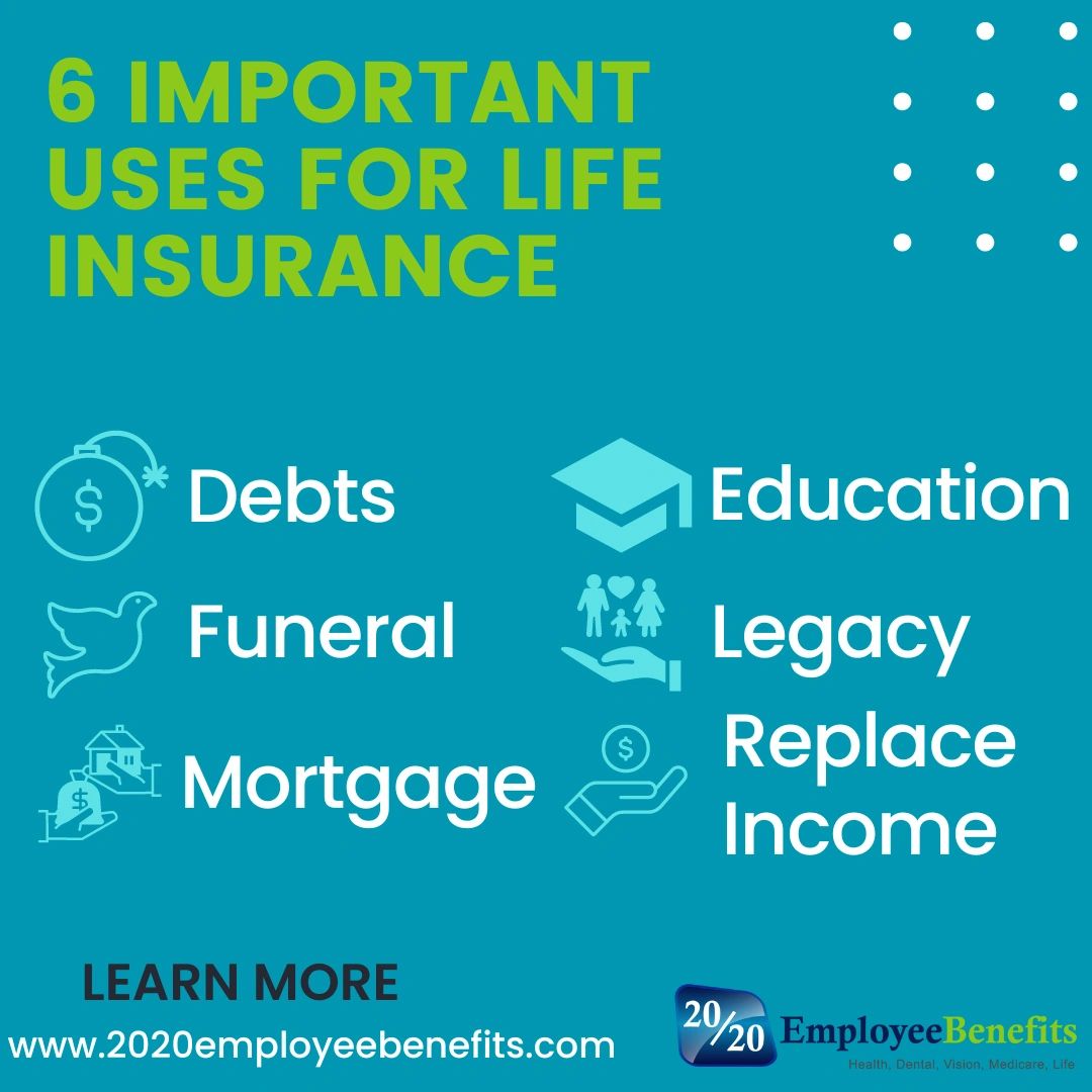 What does Beneficiaries cover? thumbnail