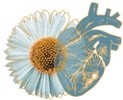 veronica maldonado 
entre el corazon y el espiritu