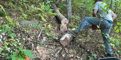 Man cutting tree logs on a forest hill.