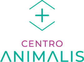 CENTRO ANIMALIS