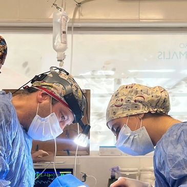 Two surgeons in scrubs and masks performing surgery under bright lights.