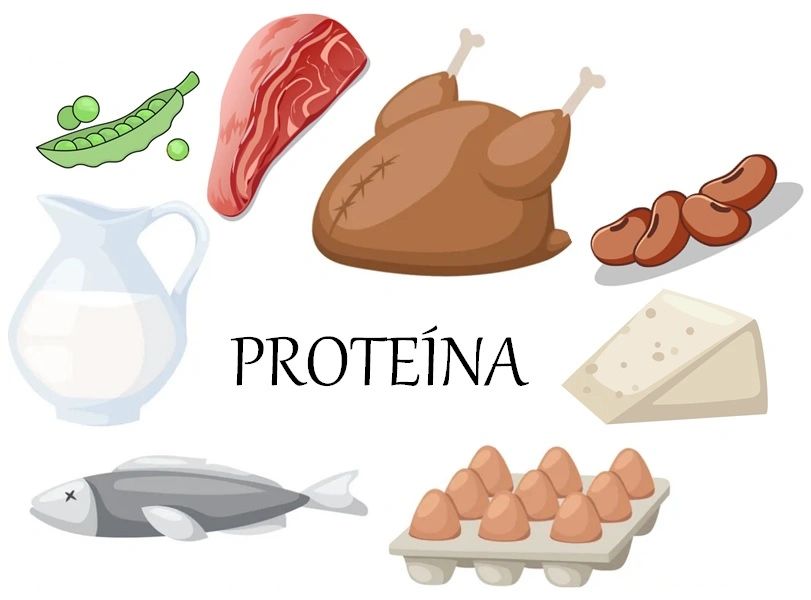 Hablemos sobre las proteínas