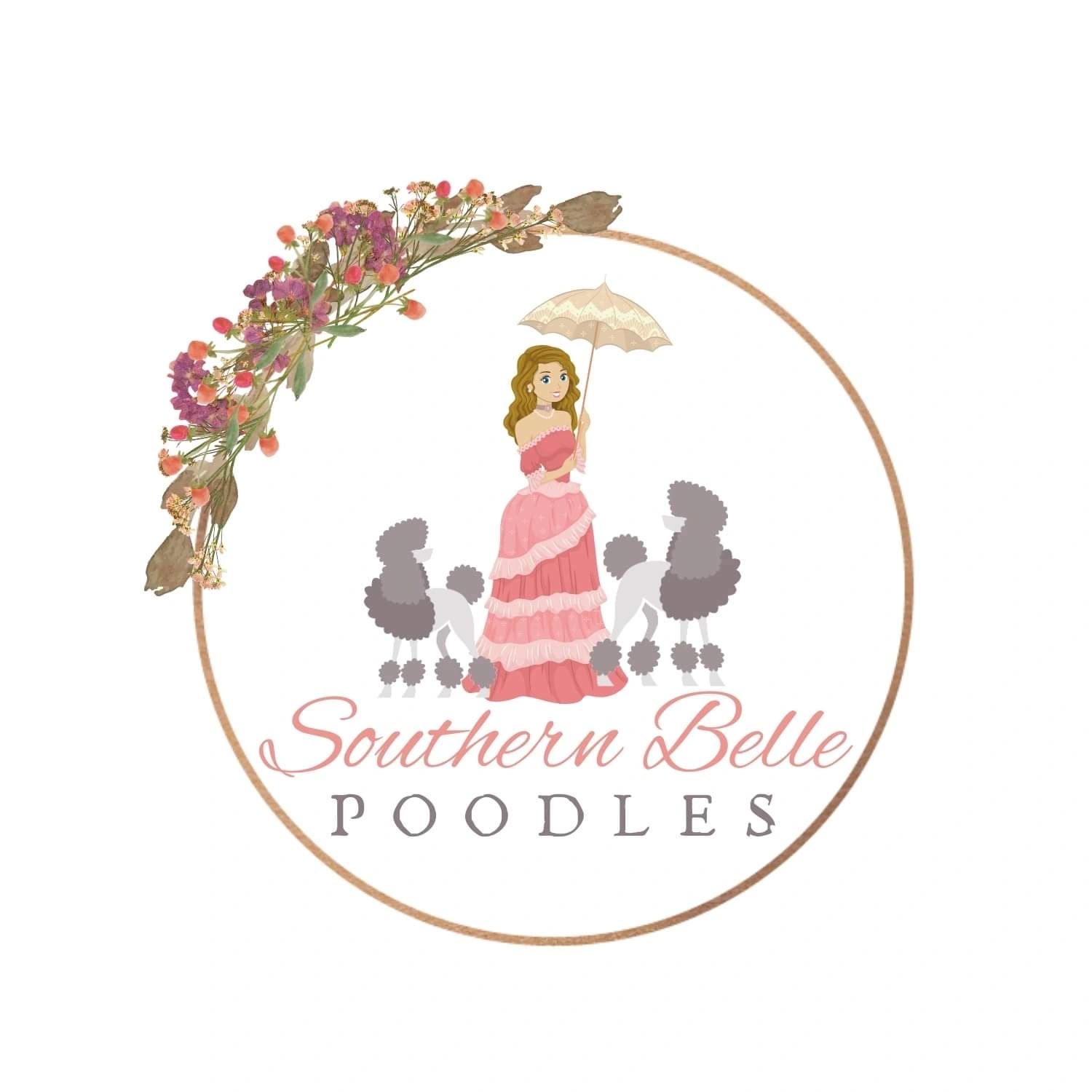 AKC toy poodles 
AKC Standard poodle 