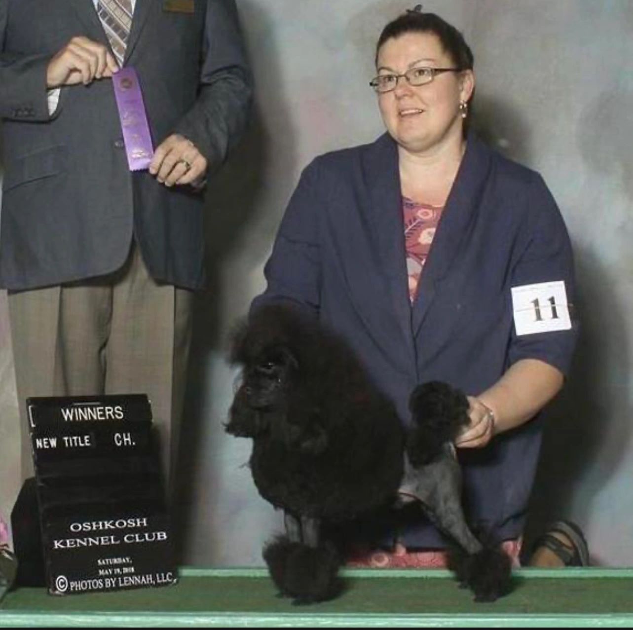 black Akc champion toy poodle stud