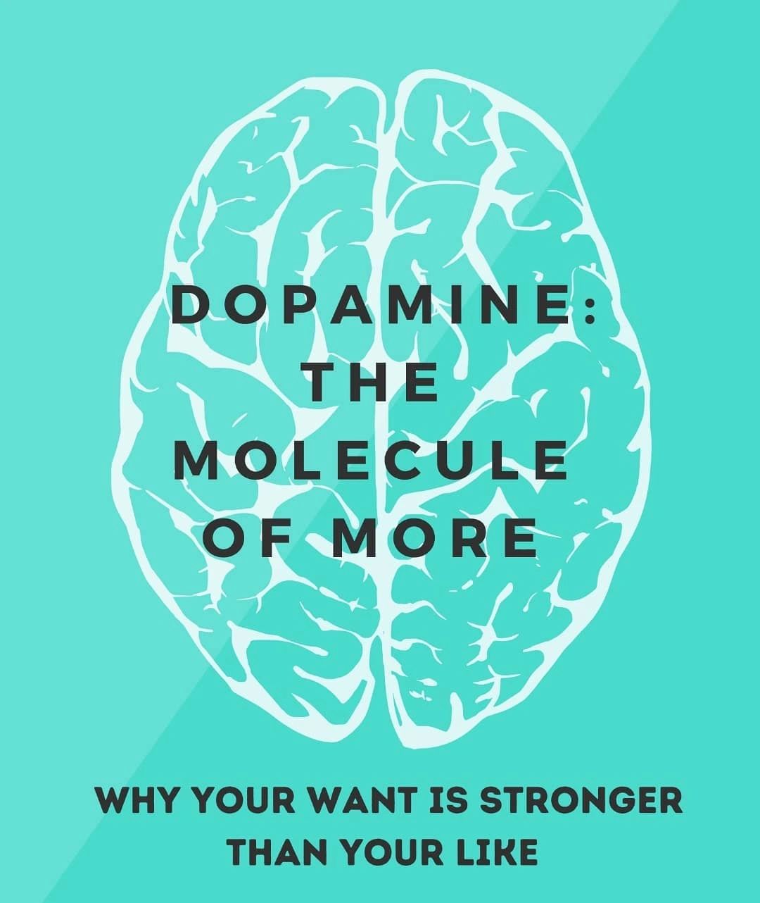 Dopamine - The Molecule of More