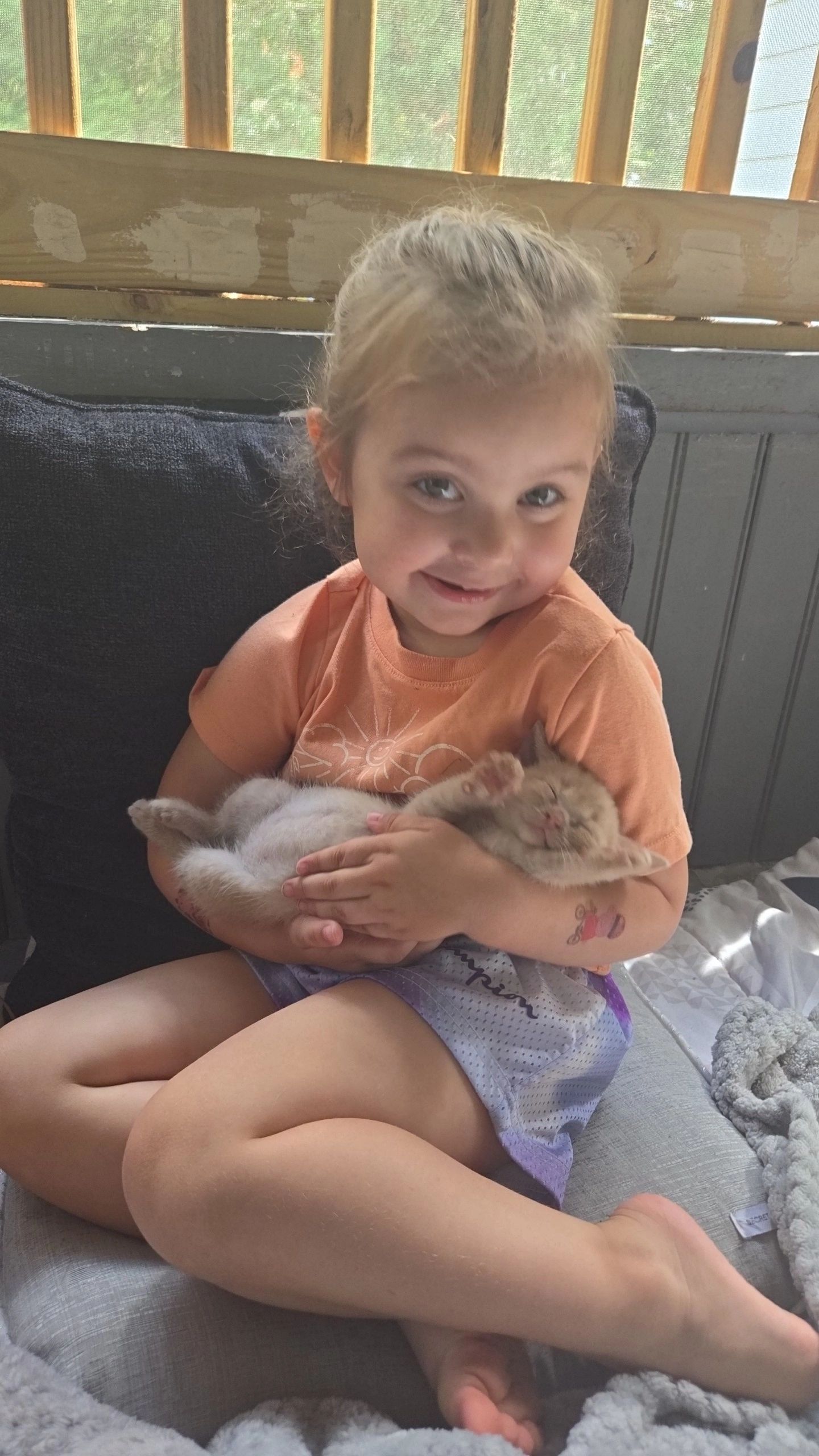 Vermont Cat Rescue: Trusted Cat Rescue Centres