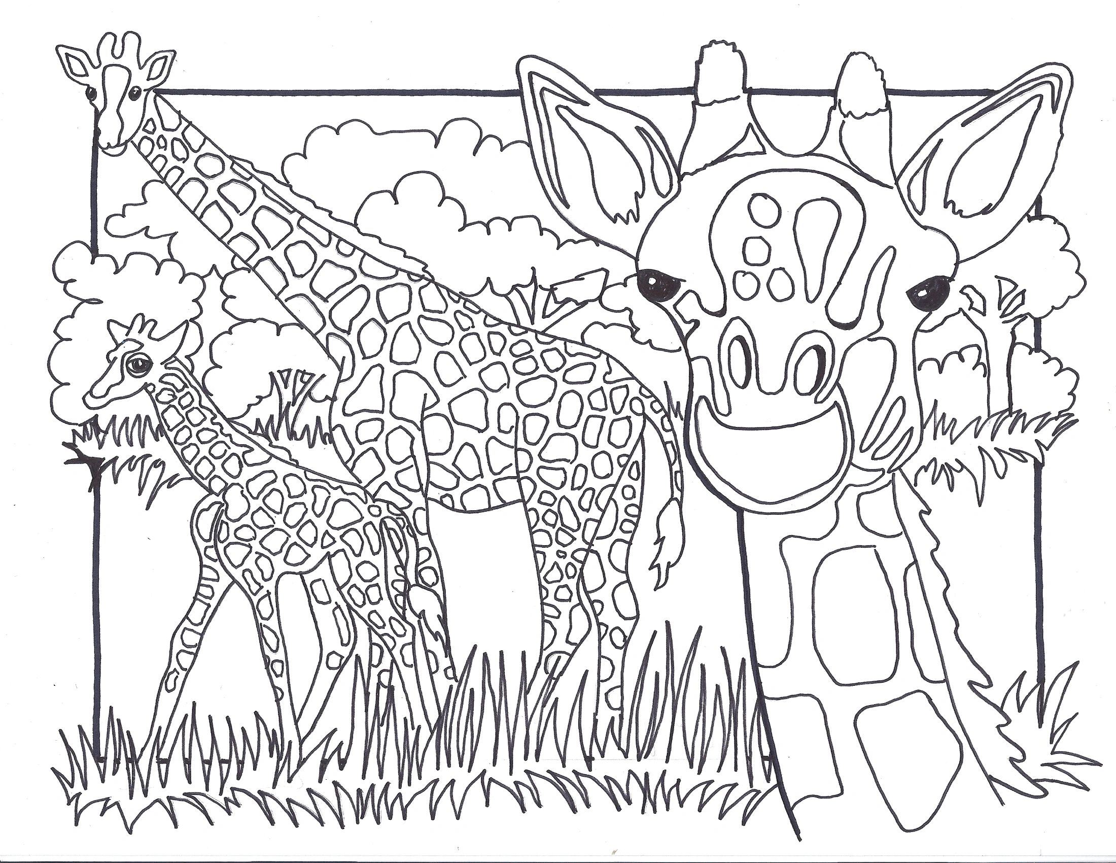 Color the giraffes