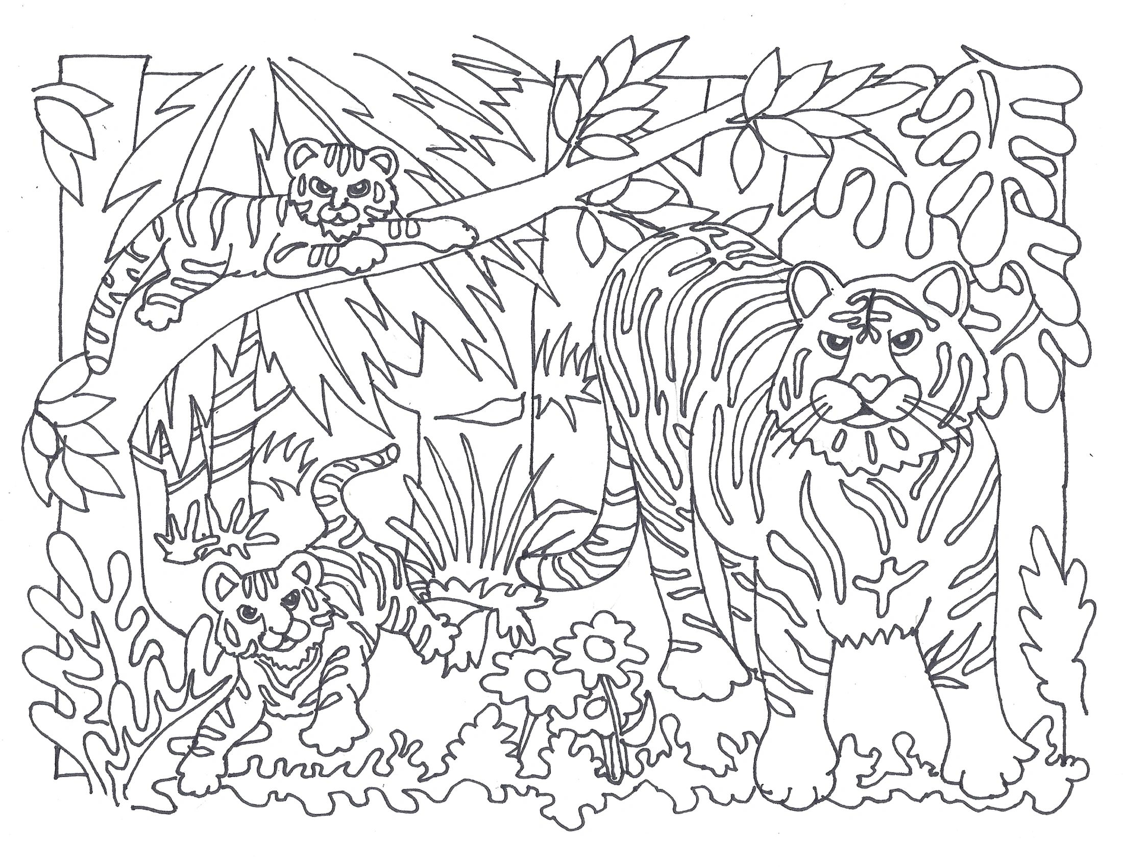 Color the tigers