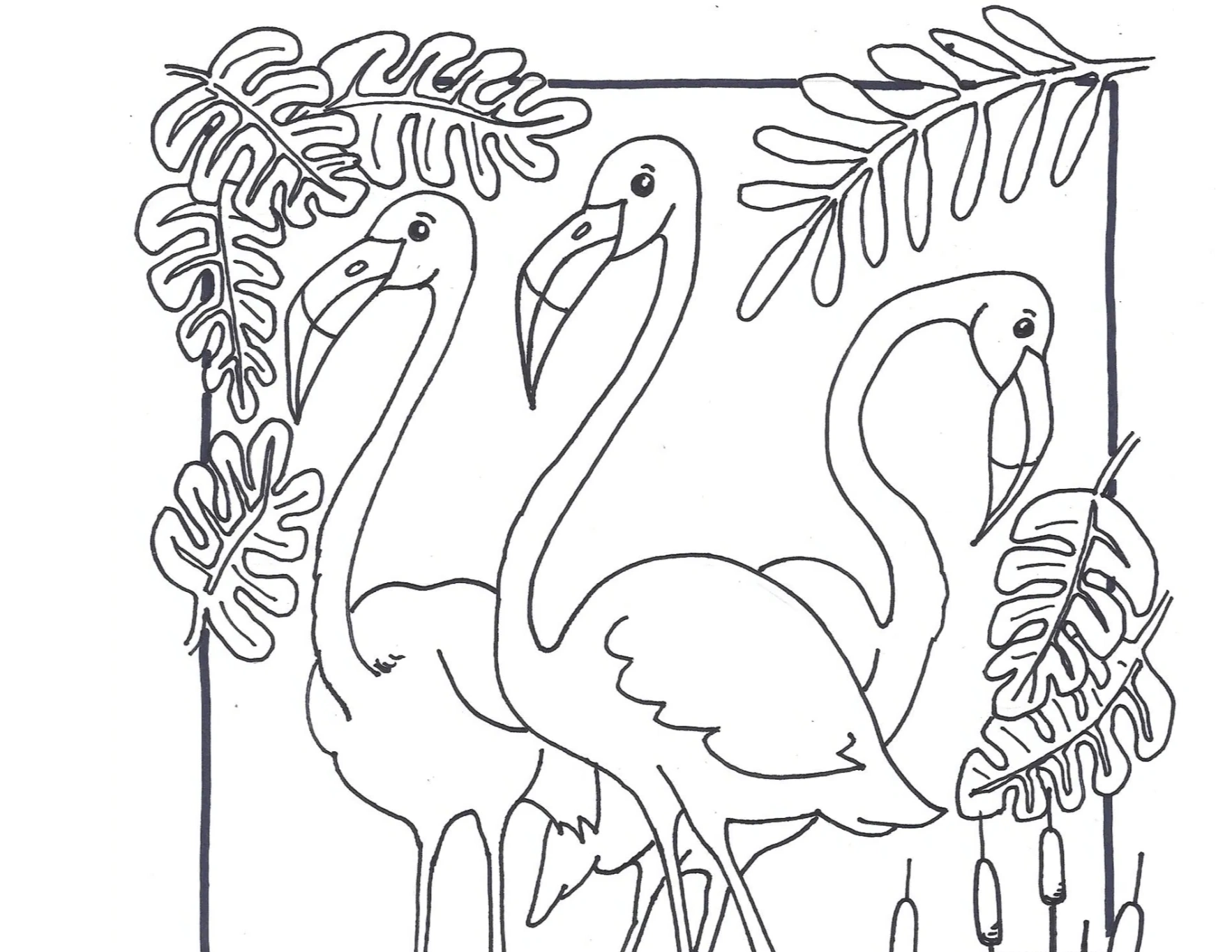 Color the flamingoes