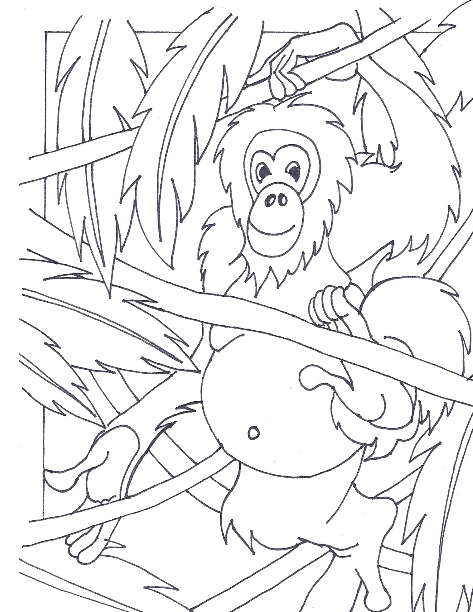 Color the orangutans