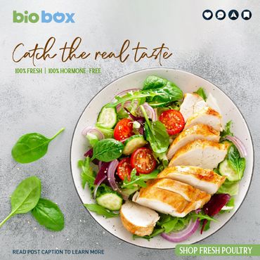 Fresh salad with sliced grilled chicken breast on a white plate.