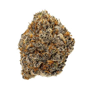 Close-up of a dense cannabis bud with orange hairs.