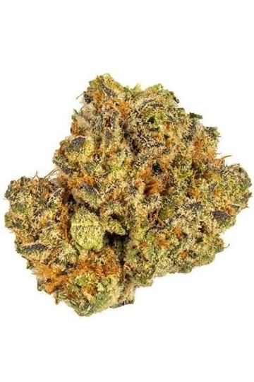 Close-up of a cannabis bud with orange hairs and trichomes.