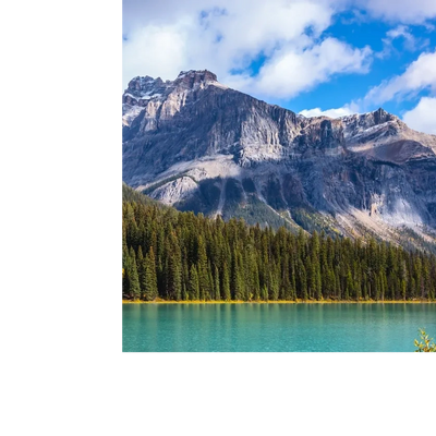 Trees reflecting in water with mountains in the background.