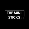 The Mini Sticks Charitable Organization