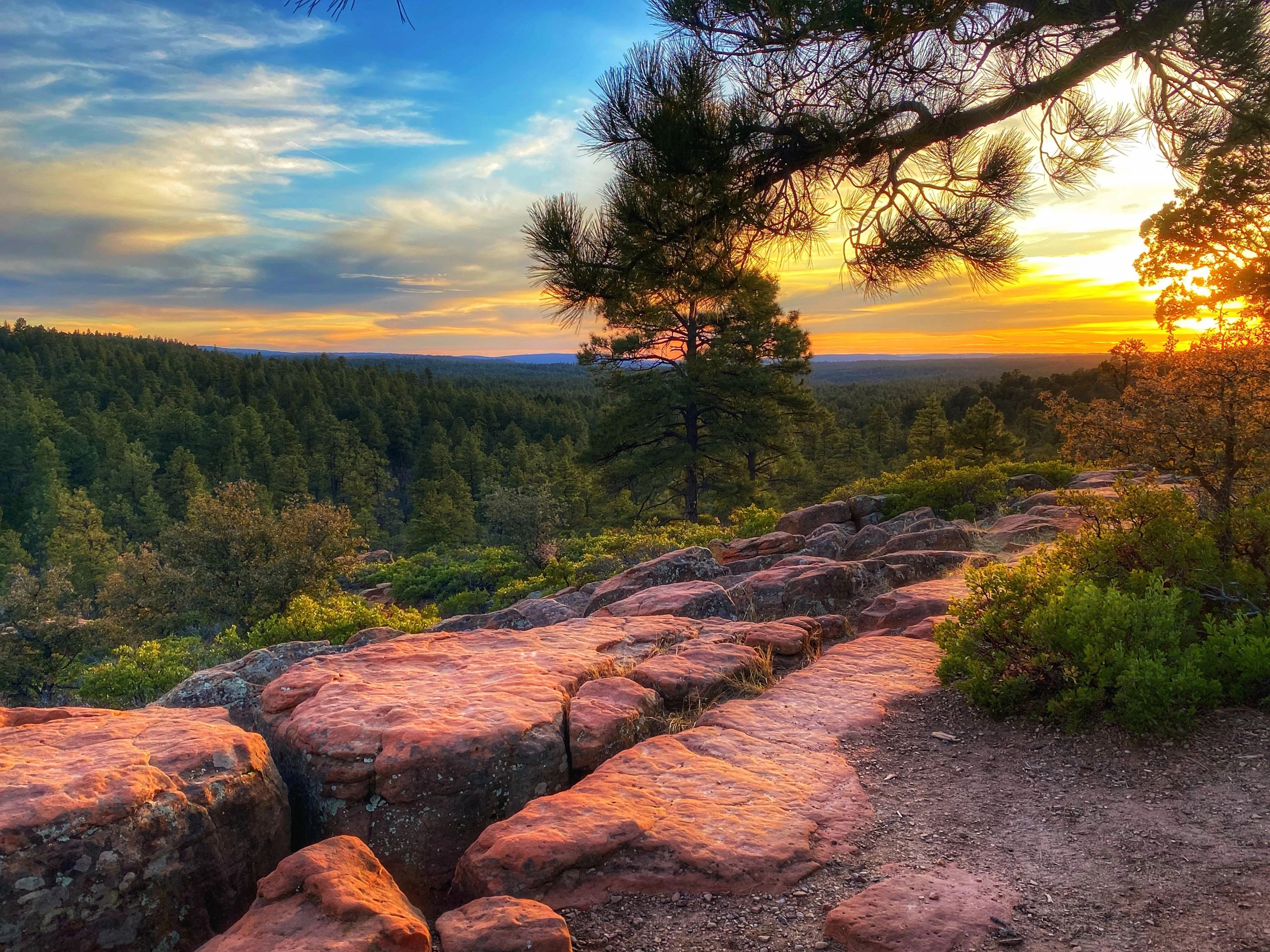 Wagon Wheel Waste in Arizona