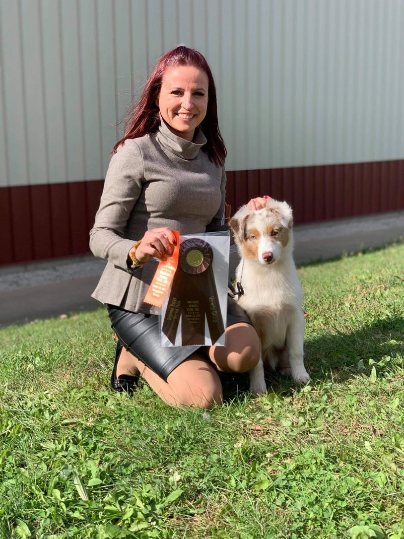 Puppy Group 2 winner