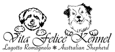 Logo goes here
