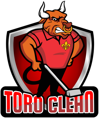 TORO CLEAN - CARPET CLEANING SERVICE
