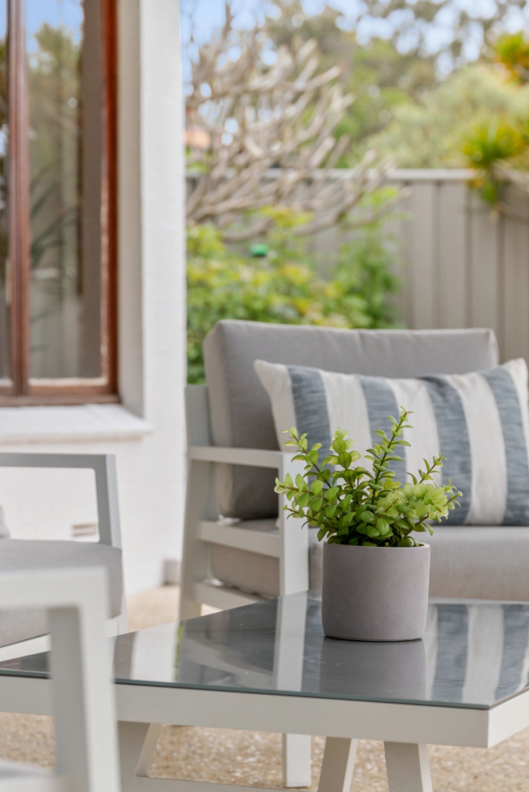 Modern outdoor seating with gray cushions and a green potted plant on a glass table.