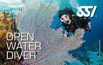 Open Water Diving Certification