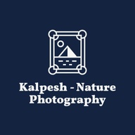 Kalpesh - Nature Photography