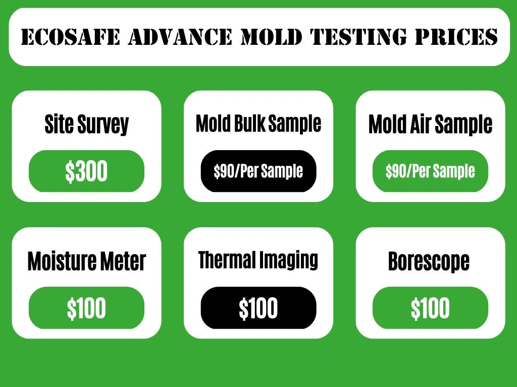 Ecosafe Advance Mold Testing Prices