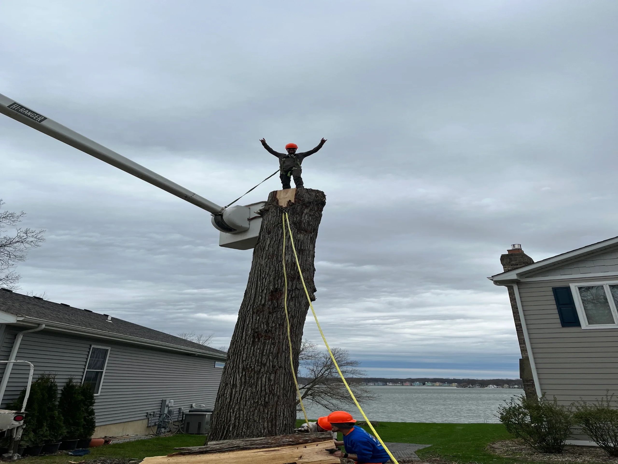 Tree Service - Cetreeservice