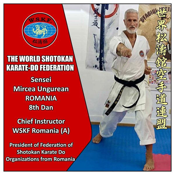 Mircea Ungurean, Chief Instructor WSKF Romania, World Shotokan Karate-Do Federation Romania.