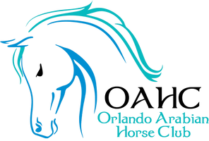 Orlando Arabian Horse Club