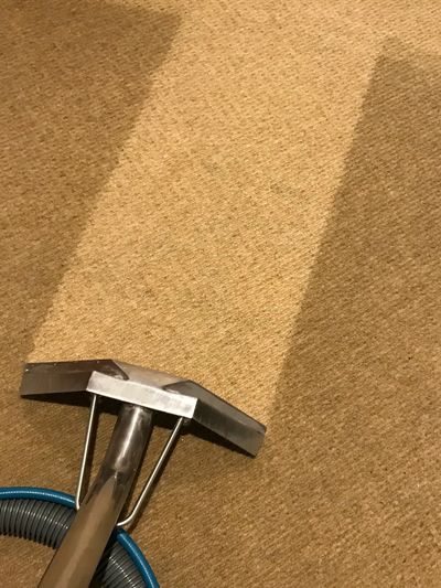 Dramatic results showing clean area after carpet clean