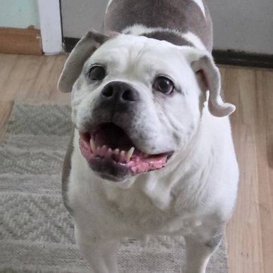 Blu all smiles.