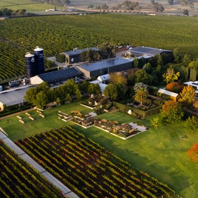 Aerial view of a vineyard estate with lush greenery and farm buildings.