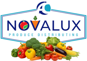 WEB SITE UNDER CONSTRUCTION