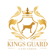 Kings Guard Cane Corso